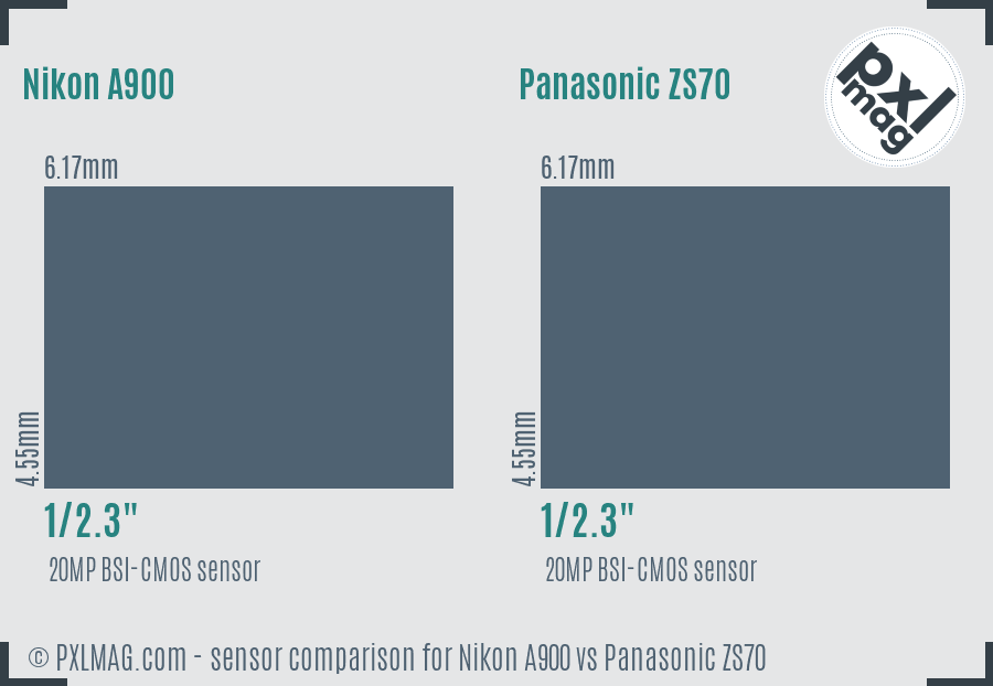 Nikon A900 vs Panasonic ZS70 sensor size comparison