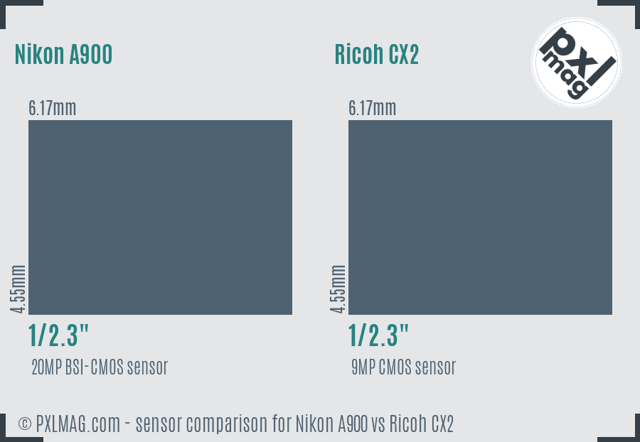 Nikon A900 vs Ricoh CX2 sensor size comparison