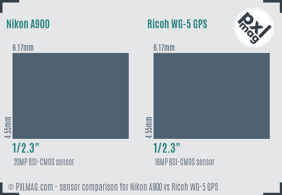 Nikon A900 vs Ricoh WG-5 GPS sensor size comparison