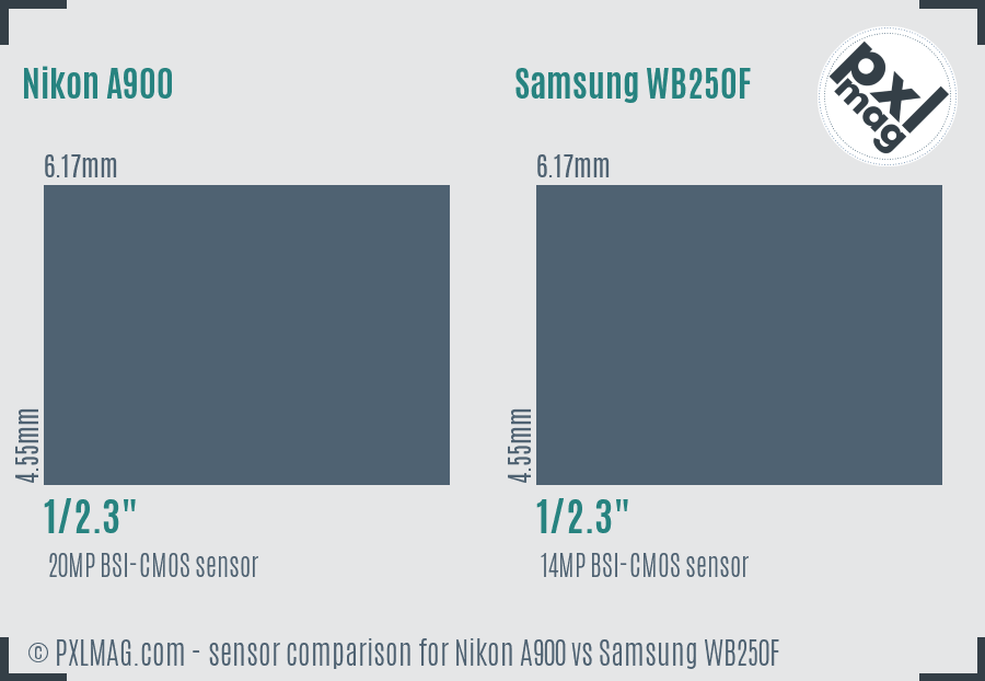 Nikon A900 vs Samsung WB250F sensor size comparison