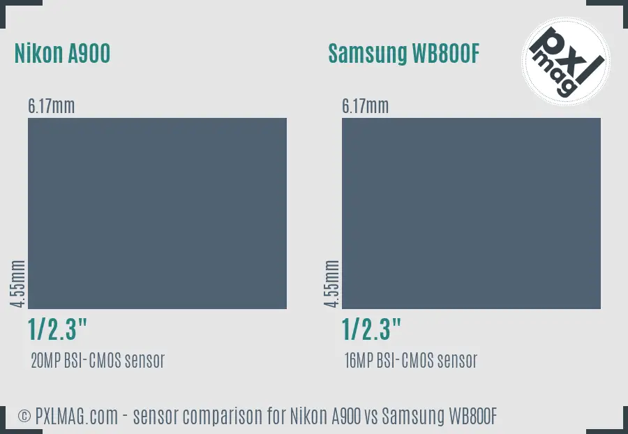 Nikon A900 vs Samsung WB800F sensor size comparison