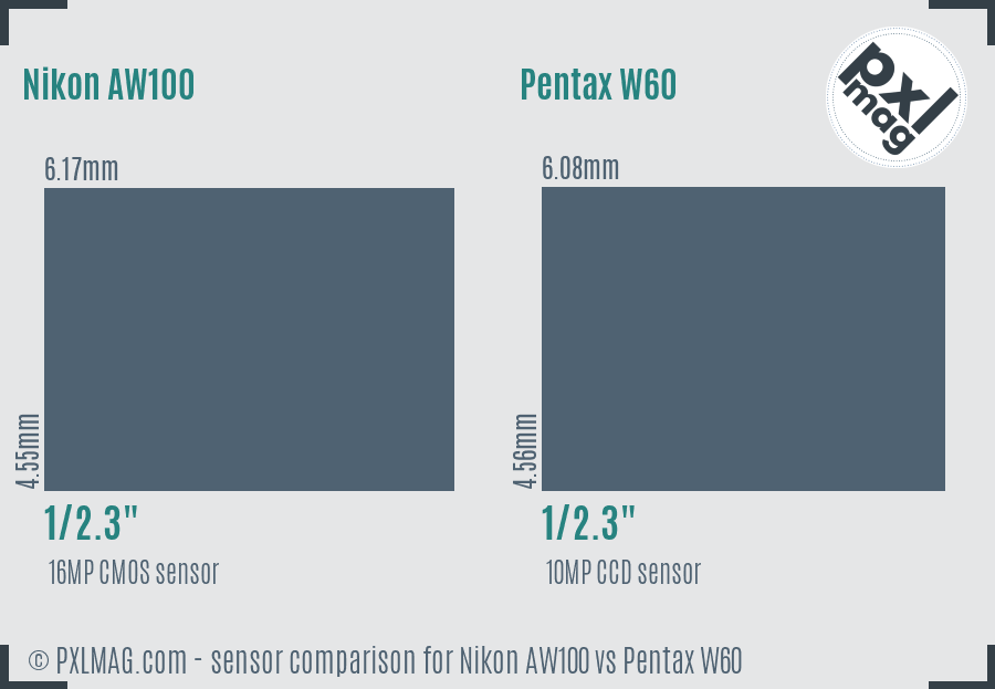 Nikon AW100 vs Pentax W60 sensor size comparison