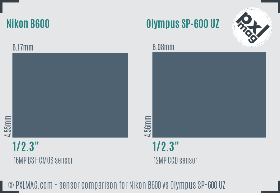 Nikon B600 vs Olympus SP-600 UZ sensor size comparison