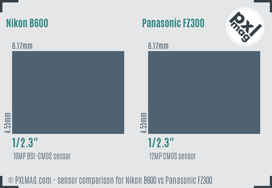 Nikon B600 vs Panasonic FZ300 sensor size comparison