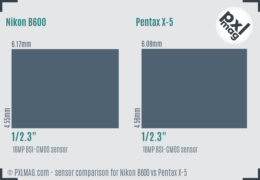 Nikon B600 vs Pentax X-5 sensor size comparison Nikon B600 vs Pentax X-5 sensor size comparison