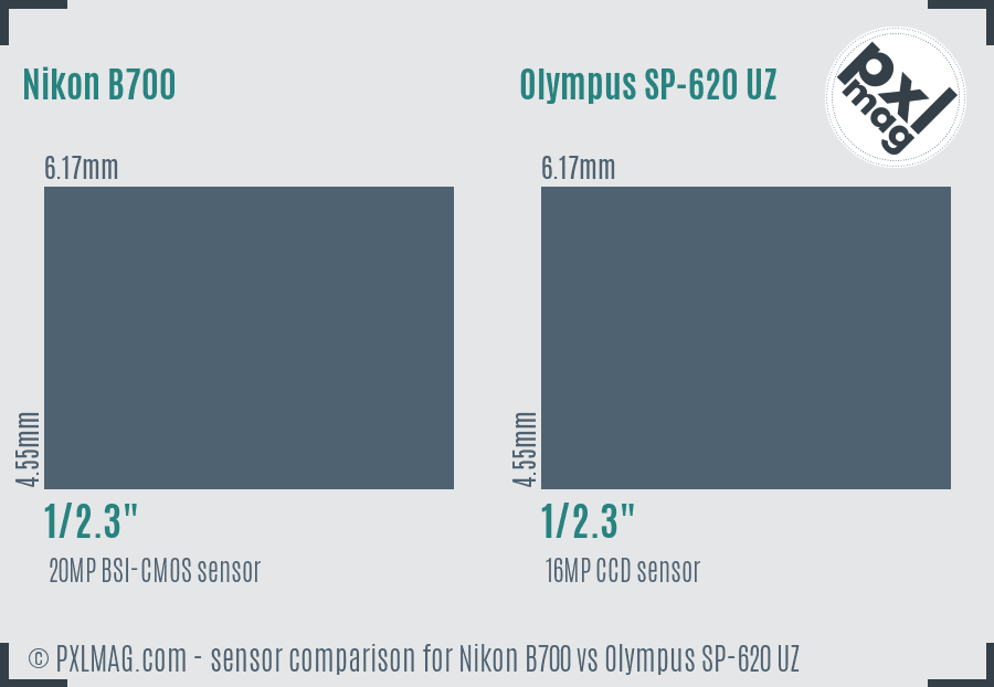 Nikon B700 vs Olympus SP-620 UZ sensor size comparison