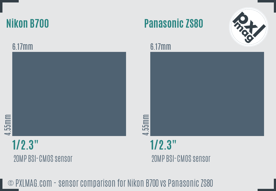 Nikon B700 vs Panasonic ZS80 sensor size comparison
