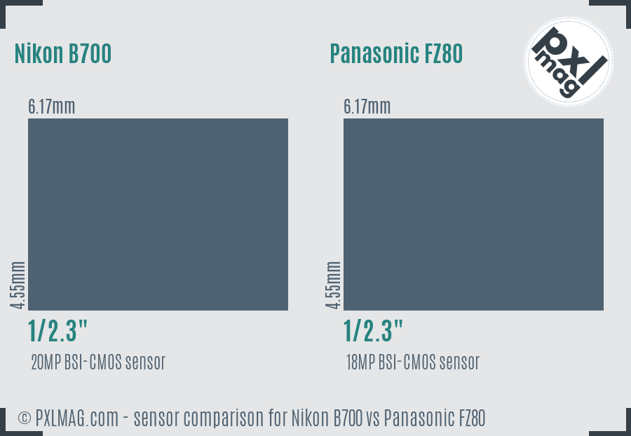 Nikon B700 vs Panasonic FZ80 sensor size comparison