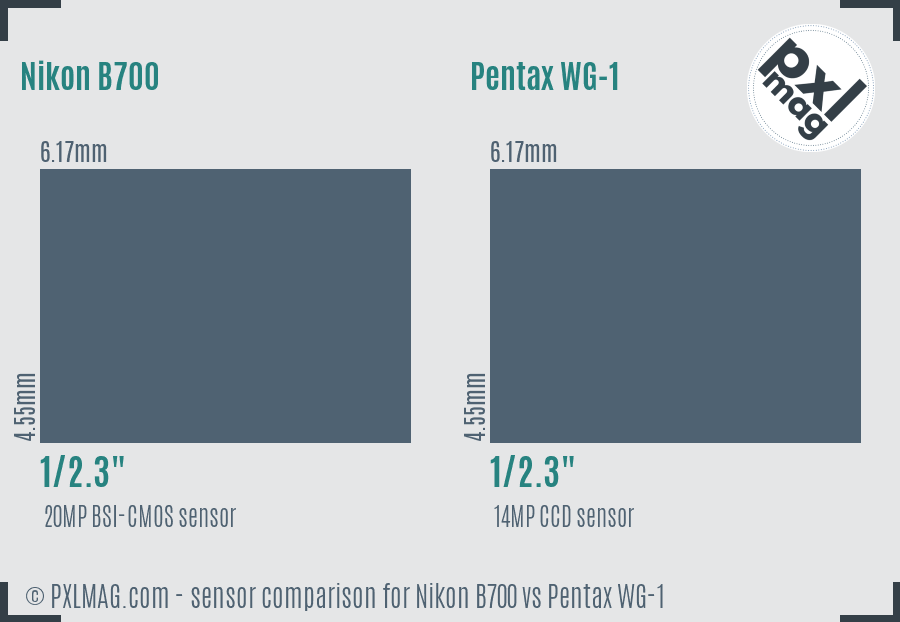 Nikon B700 vs Pentax WG-1 sensor size comparison