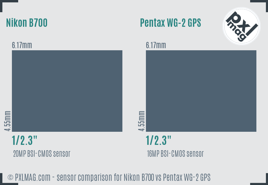 Nikon B700 vs Pentax WG-2 GPS sensor size comparison