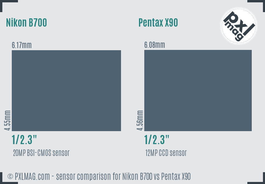 Nikon B700 vs Pentax X90 sensor size comparison