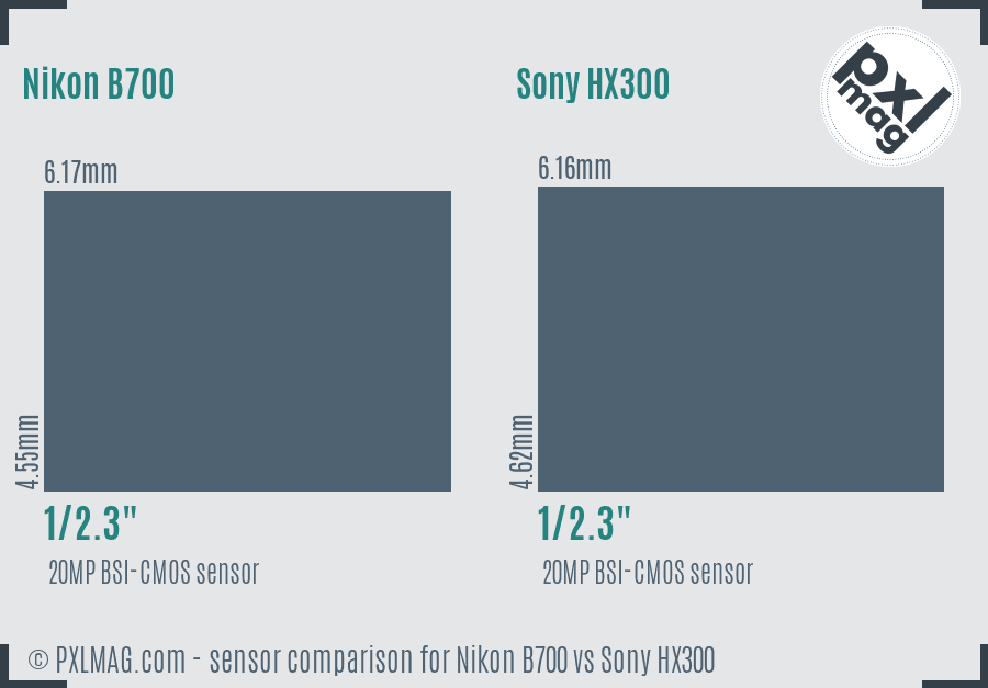 Nikon B700 vs Sony HX300 sensor size comparison