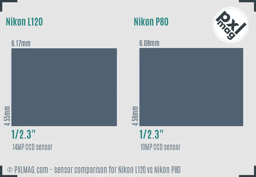 Nikon L120 vs Nikon P80 sensor size comparison