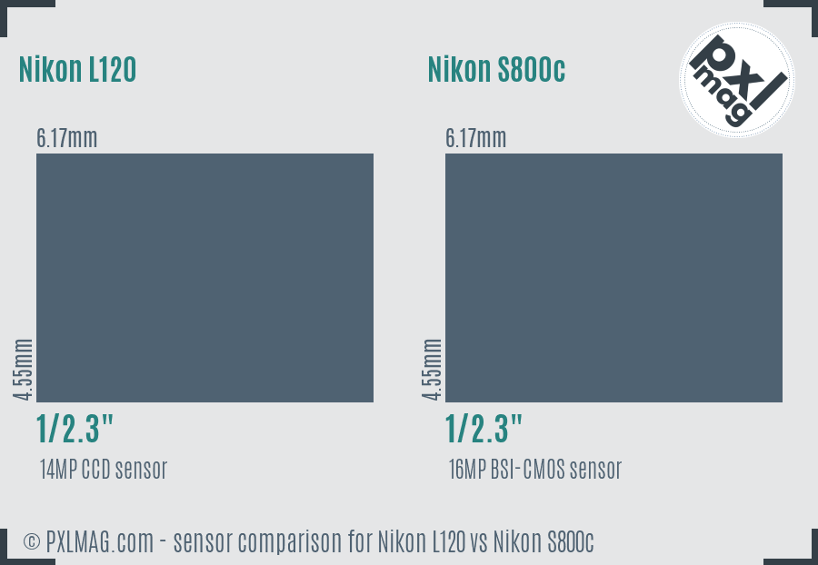 Nikon L120 vs Nikon S800c sensor size comparison