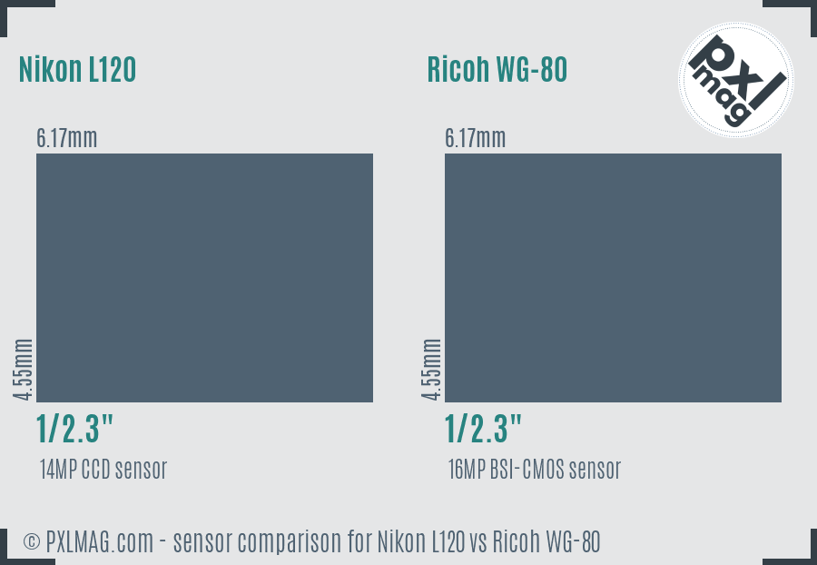 Nikon L120 vs Ricoh WG-80 sensor size comparison