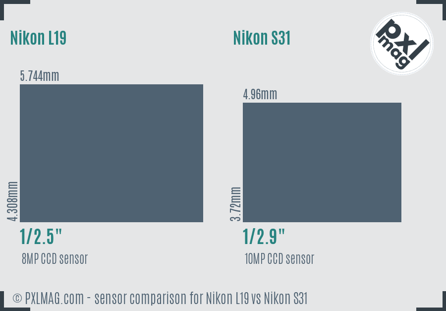 Nikon L19 vs Nikon S31 sensor size comparison