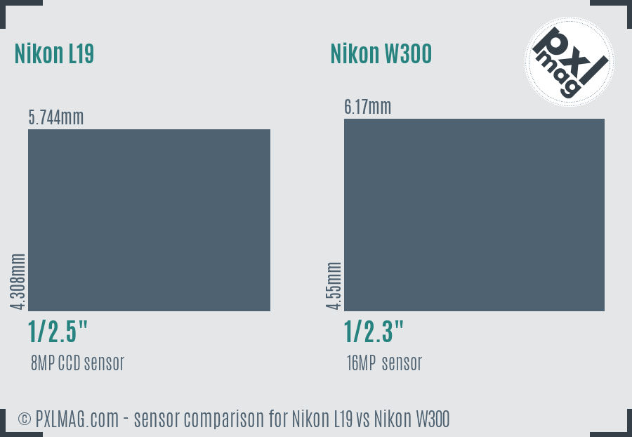 Nikon L19 vs Nikon W300 sensor size comparison