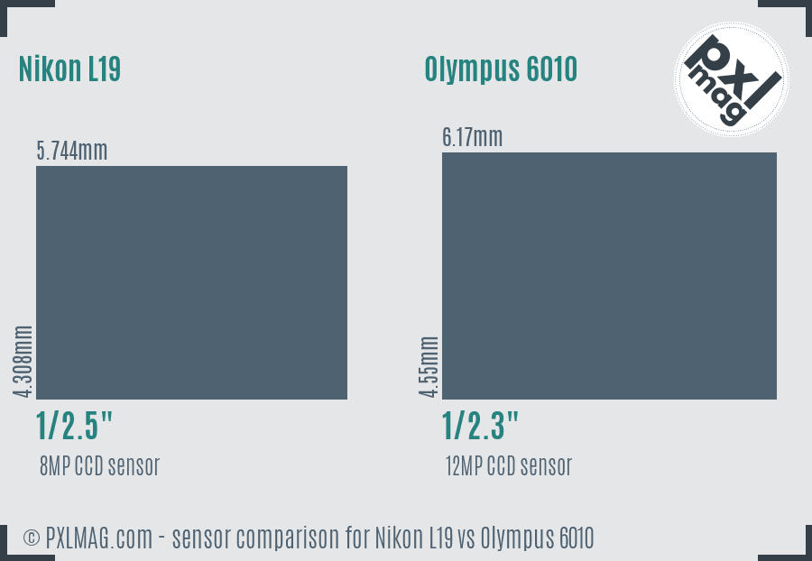 Nikon L19 vs Olympus 6010 sensor size comparison