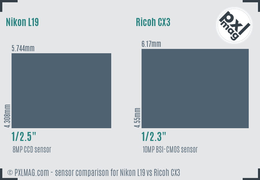 Nikon L19 vs Ricoh CX3 sensor size comparison