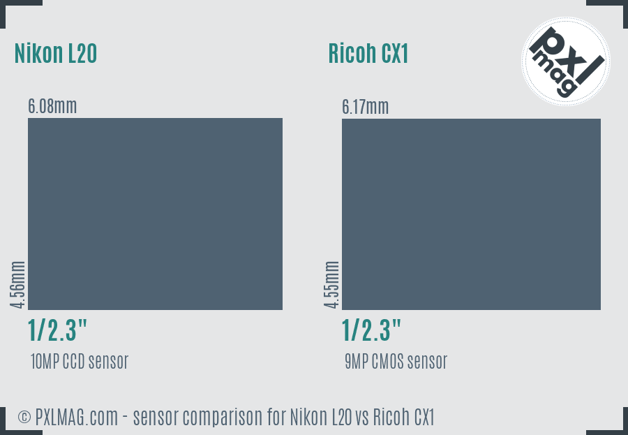 Nikon L20 vs Ricoh CX1 sensor size comparison