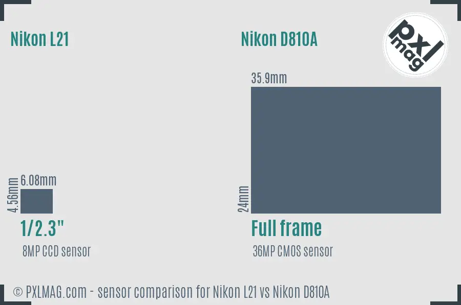 Nikon L21 vs Nikon D810A sensor size comparison
