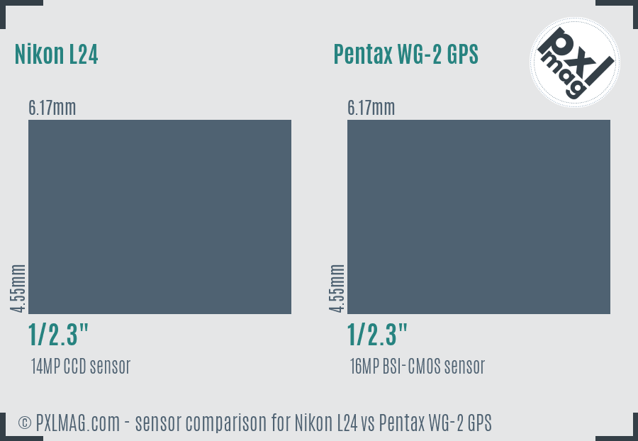Nikon L24 vs Pentax WG-2 GPS sensor size comparison