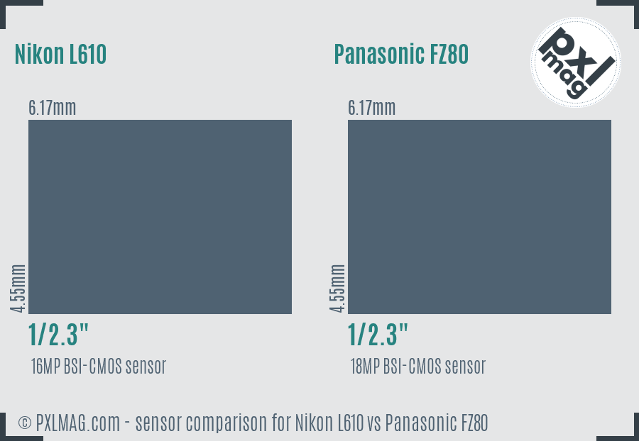 Nikon L610 vs Panasonic FZ80 sensor size comparison