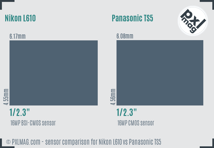 Nikon L610 vs Panasonic TS5 sensor size comparison