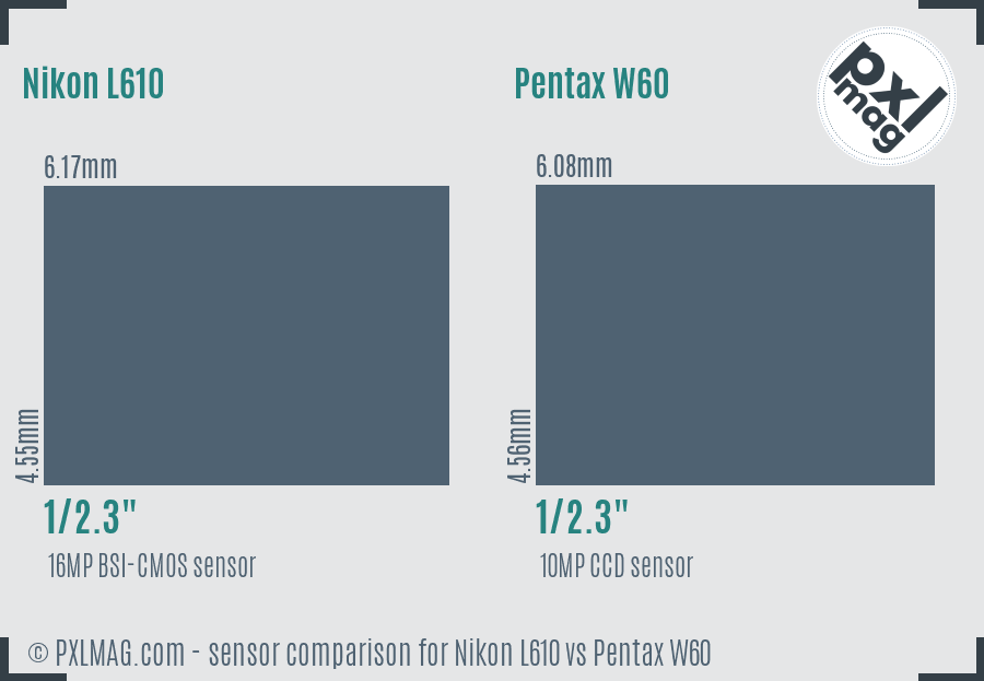 Nikon L610 vs Pentax W60 sensor size comparison Nikon L610 vs Pentax W60 sensor size comparison