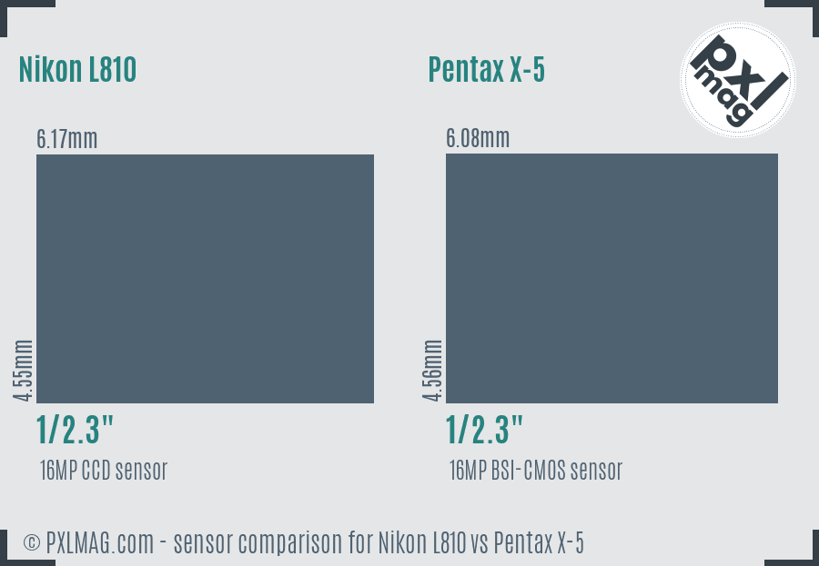 Nikon L810 vs Pentax X-5 sensor size comparison