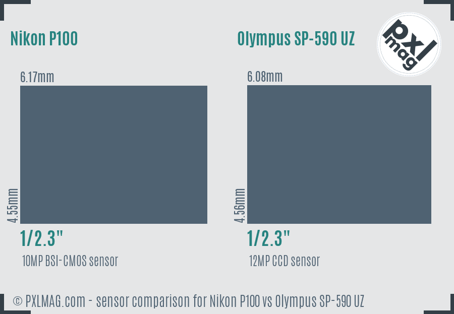 Nikon P100 vs Olympus SP-590 UZ sensor size comparison Nikon P100 vs Olympus SP-590 UZ sensor size comparison