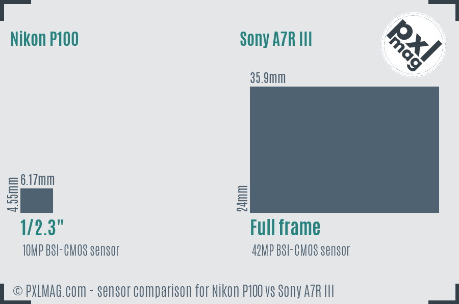 Nikon P100 vs Sony A7R III sensor size comparison