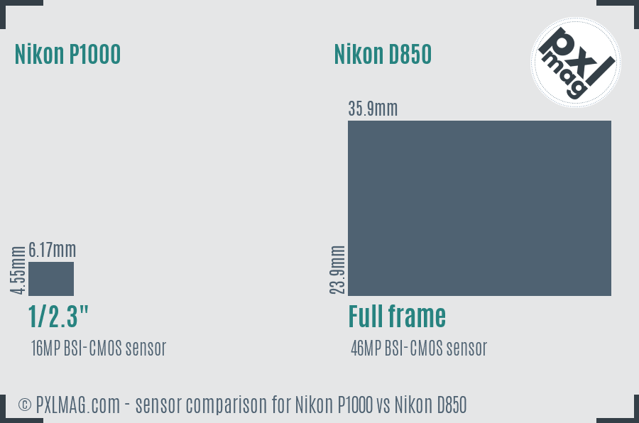 Nikon P1000 vs Nikon D850 sensor size comparison