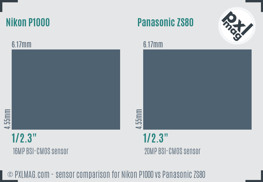Nikon P1000 vs Panasonic ZS80 sensor size comparison