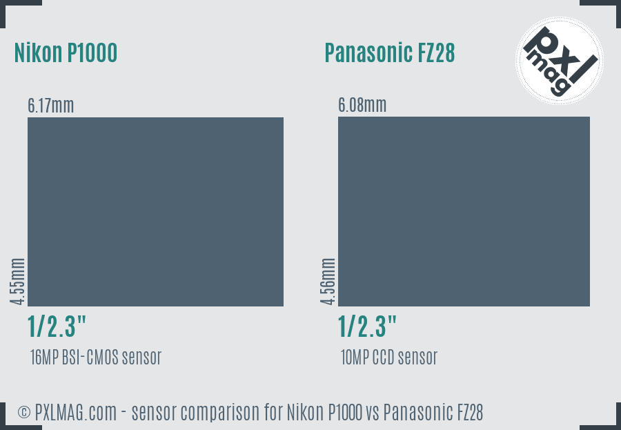 Nikon P1000 vs Panasonic FZ28 sensor size comparison