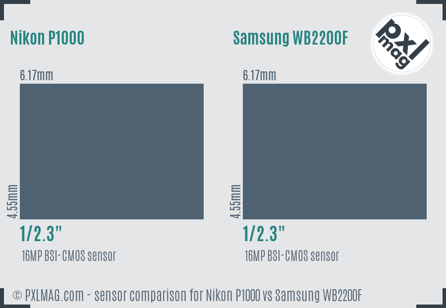 Nikon P1000 vs Samsung WB2200F sensor size comparison