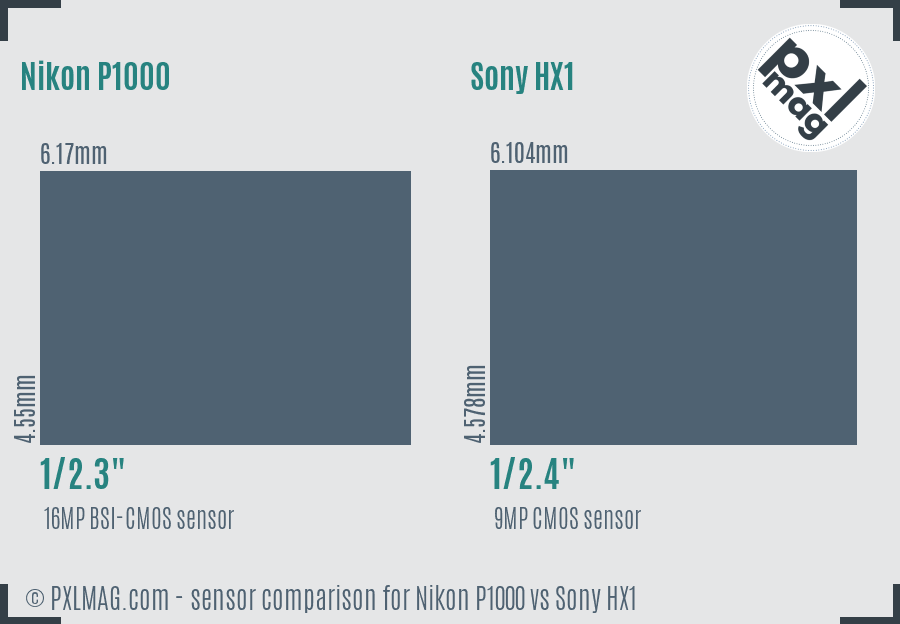 Nikon P1000 vs Sony HX1 sensor size comparison