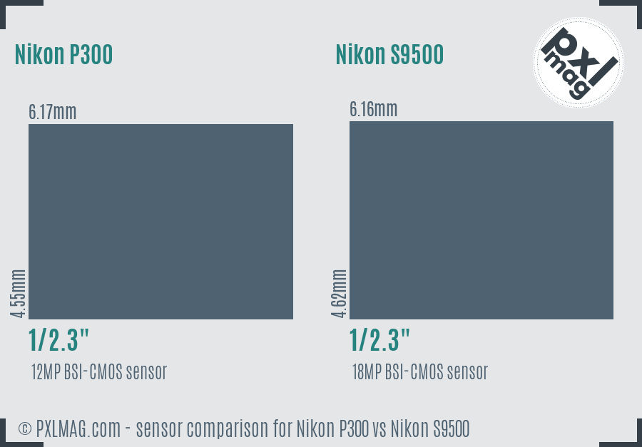 Nikon P300 vs Nikon S9500 sensor size comparison