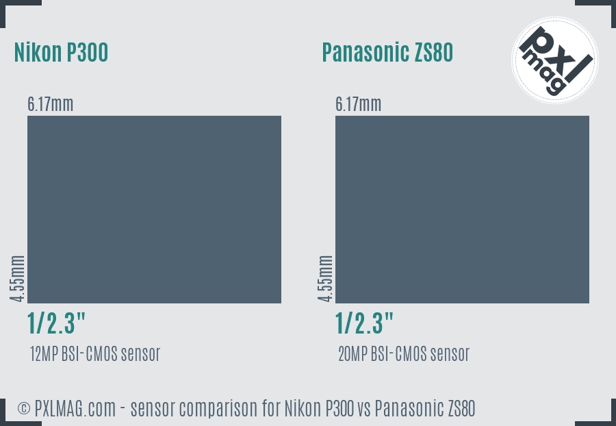 Nikon P300 vs Panasonic ZS80 sensor size comparison