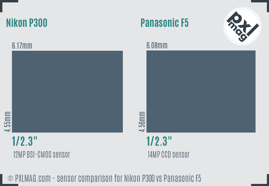 Nikon P300 vs Panasonic F5 sensor size comparison
