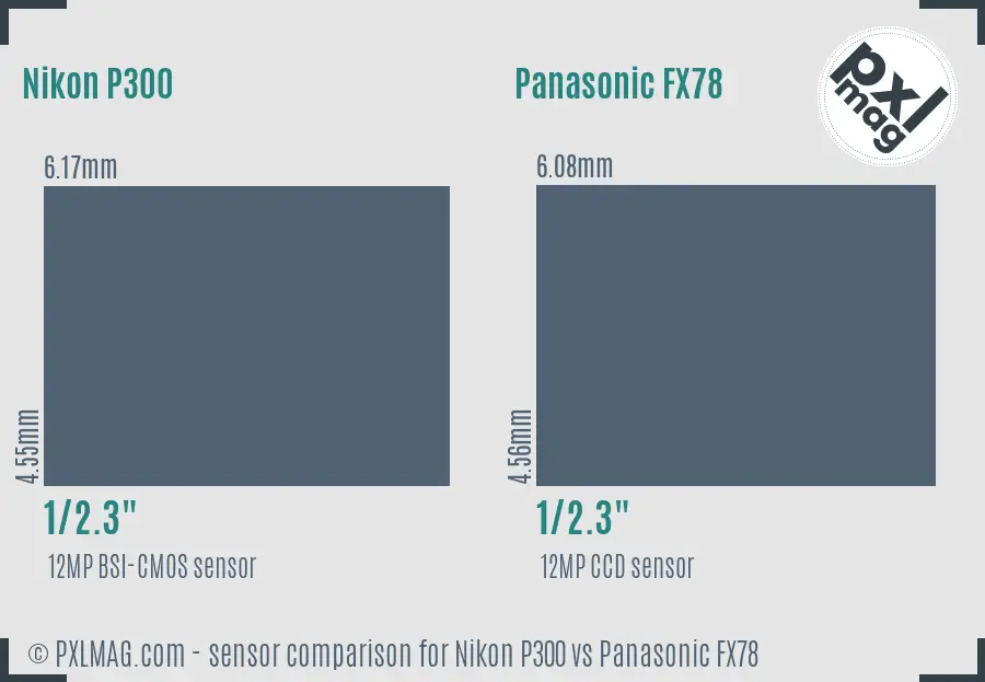 Nikon P300 vs Panasonic FX78 sensor size comparison