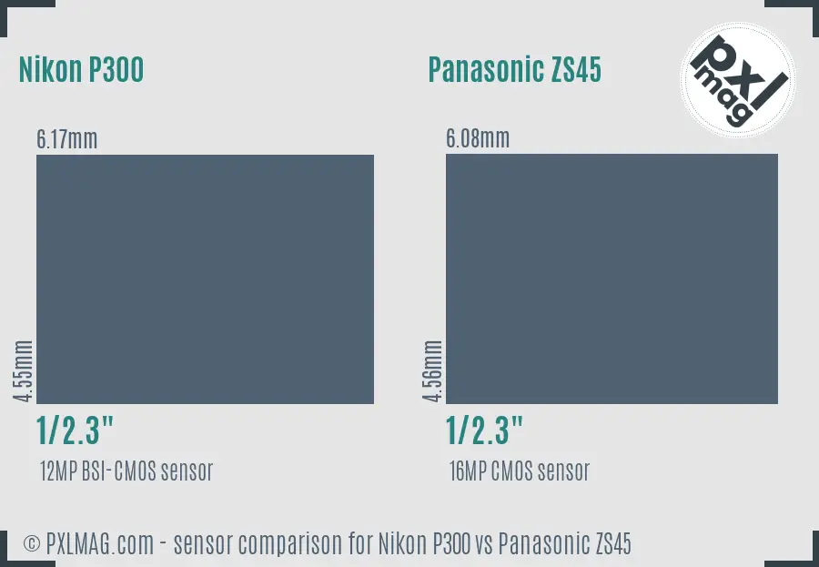 Nikon P300 vs Panasonic ZS45 sensor size comparison