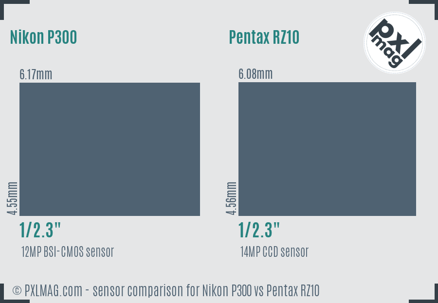 Nikon P300 vs Pentax RZ10 sensor size comparison