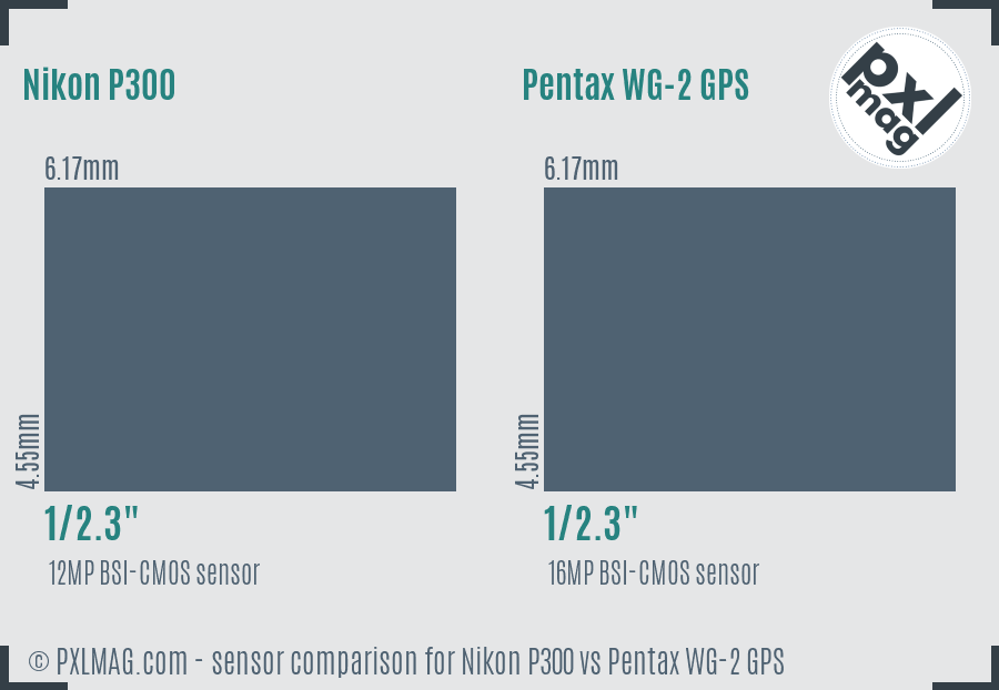 Nikon P300 vs Pentax WG-2 GPS sensor size comparison
