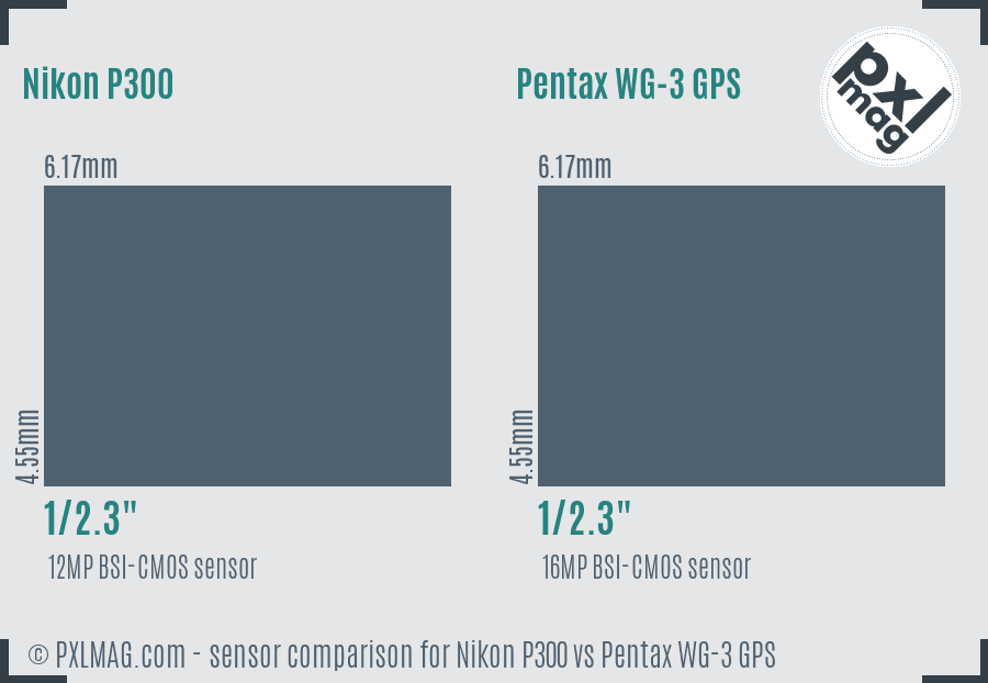 Nikon P300 vs Pentax WG-3 GPS sensor size comparison