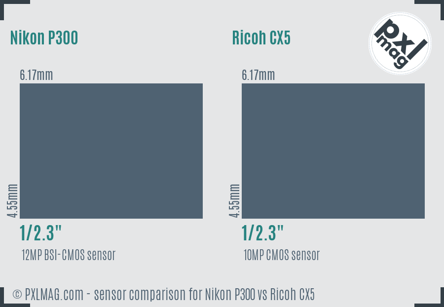 Nikon P300 vs Ricoh CX5 sensor size comparison