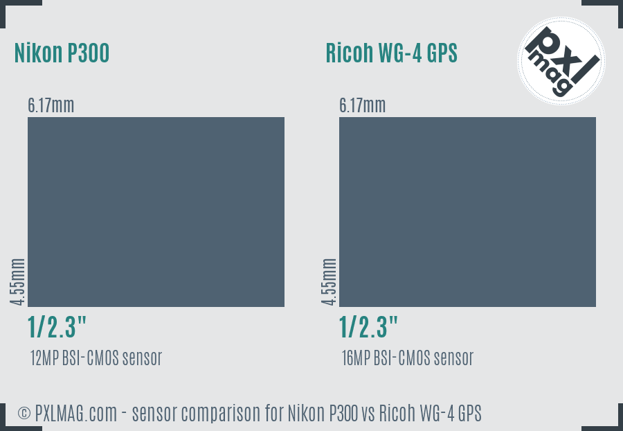 Nikon P300 vs Ricoh WG-4 GPS sensor size comparison