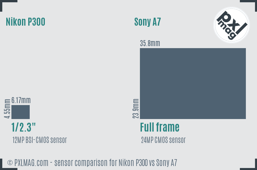 Nikon P300 vs Sony A7 sensor size comparison