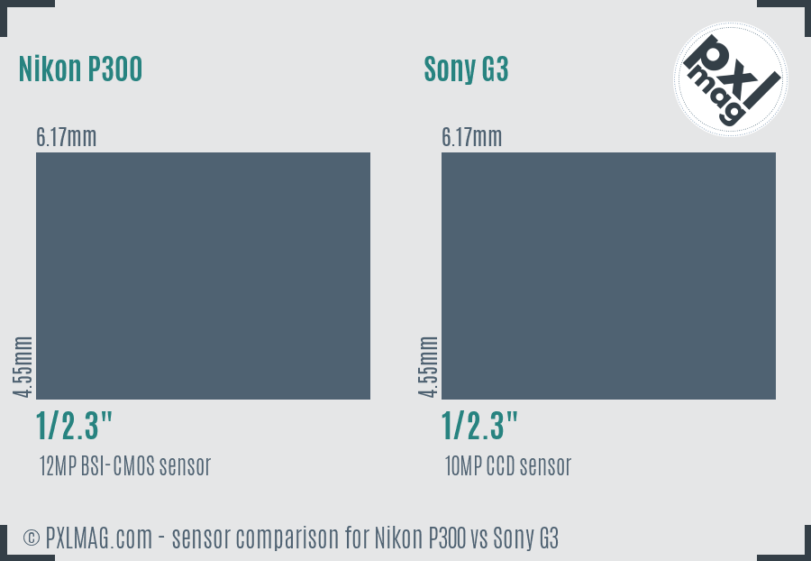 Nikon P300 vs Sony G3 sensor size comparison