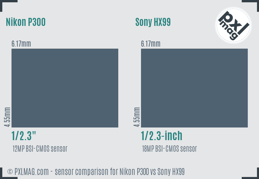 Nikon P300 vs Sony HX99 sensor size comparison